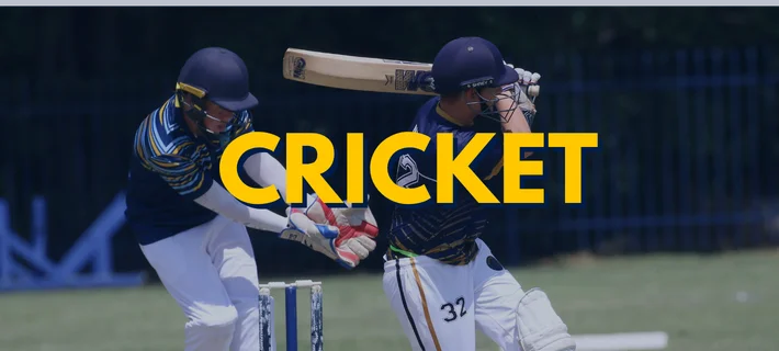 odds96app cricketd