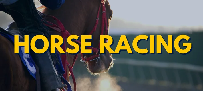 odds96app horse racing